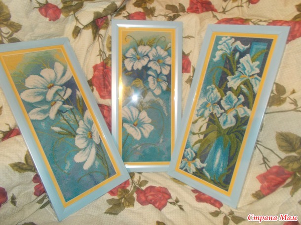 Ромашки вьюнки ирисы триптих.)