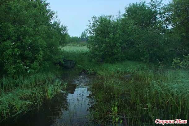 Заброшенная деревня Сидозеро с прекрасными пейзажами.