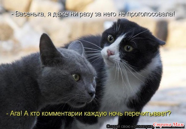 Одна и та же логика бывает женской и «вам, бабам, нас не понять».