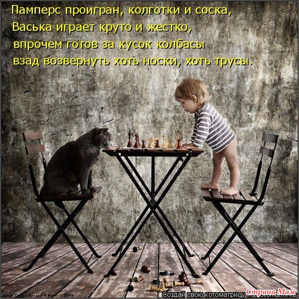 Одна и та же логика бывает женской и «вам, бабам, нас не понять».