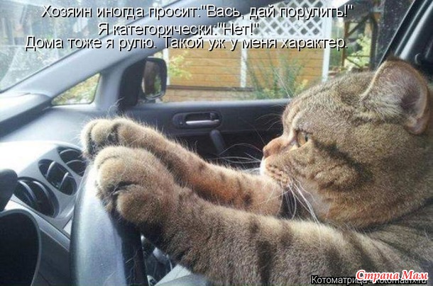 Одна и та же логика бывает женской и «вам, бабам, нас не понять».