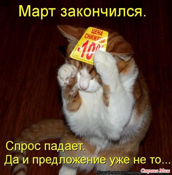 Одна и та же логика бывает женской и «вам, бабам, нас не понять».