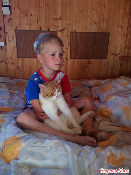 Абрикентий на даче... или кот в шоке.)))