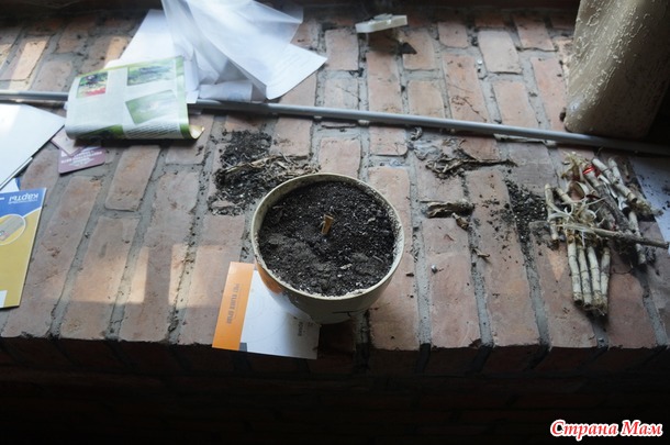 новые приключения или бастион Грольман