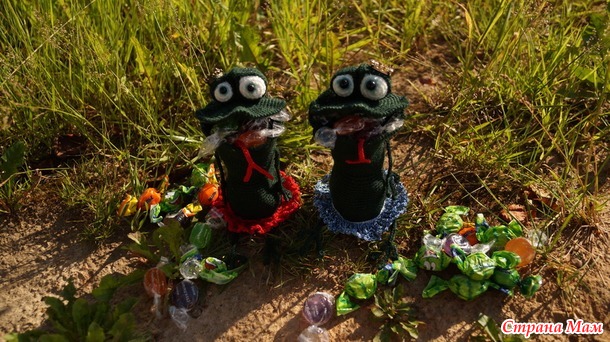 Лягушки жадинки