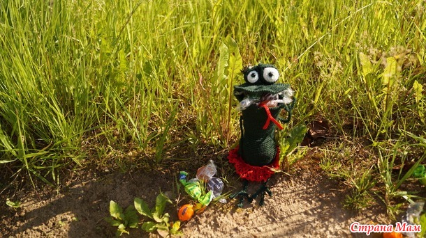 Лягушки жадинки