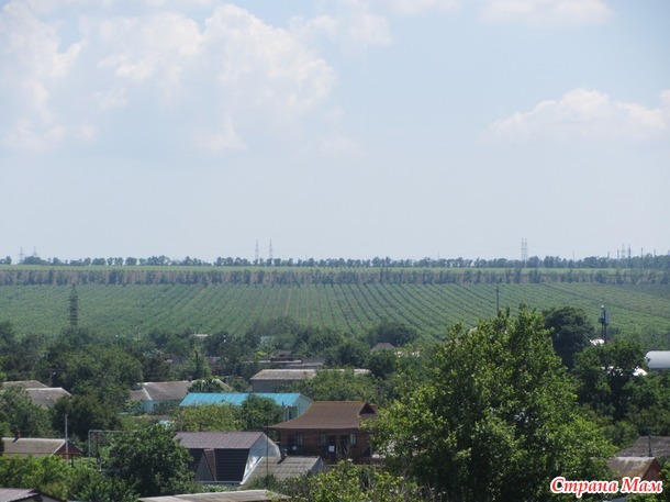 Отпуск. Кучугуры. Азовское море. Июнь.