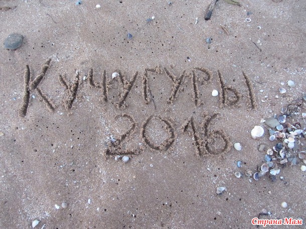Отпуск. Кучугуры. Азовское море. Июнь.