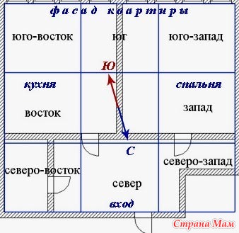 Об оформлении офиса и денежном дереве >>>