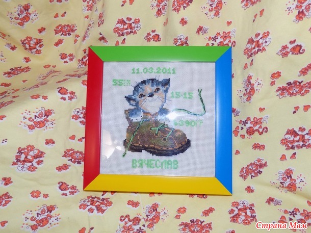 *котята от риолис и рто.