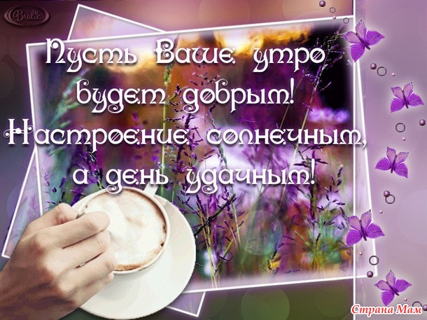 Сегодняшнее утро...