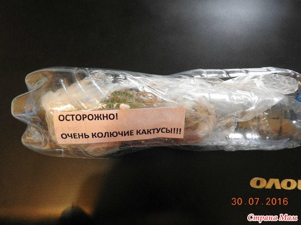Здорово, когда на свете есть друзья... часть следующая..