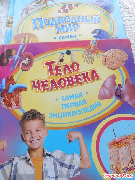 Отчет по летнему КУФАРУ