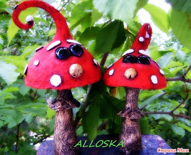 Грибы с глазами)