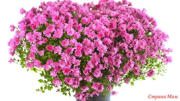 Мой подарок по игре "Ажурная весна".