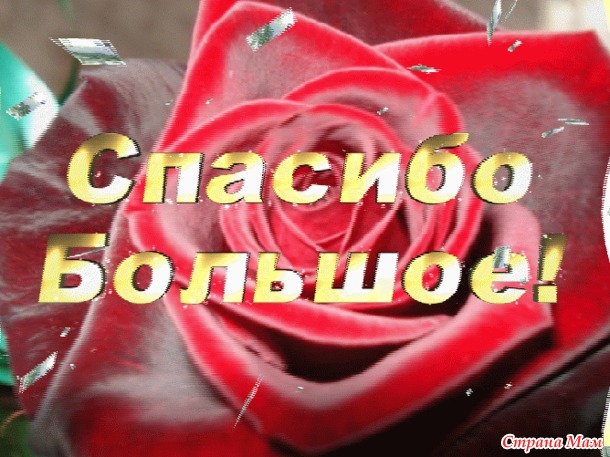 Отчёт Подарок на Д. Р.
