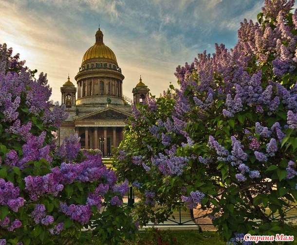 Самые известные площади Северной столицы