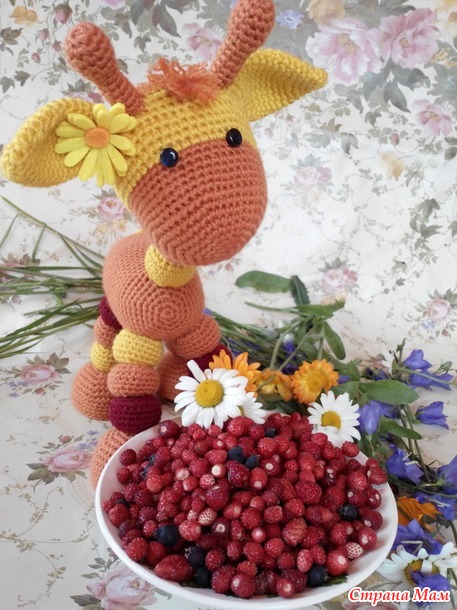 . Солнечный Жирафка Гузик