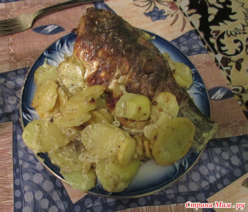 Карп в духовке с картошкой. Крупный карась в духовке. Карась в духовке в фольге. Вкусно запечь карасей в духовке. Сазан в духовке.