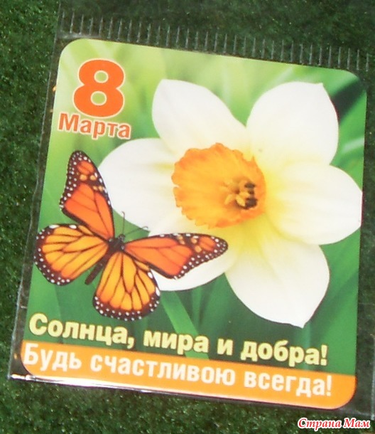 Весенний куфар прилетел