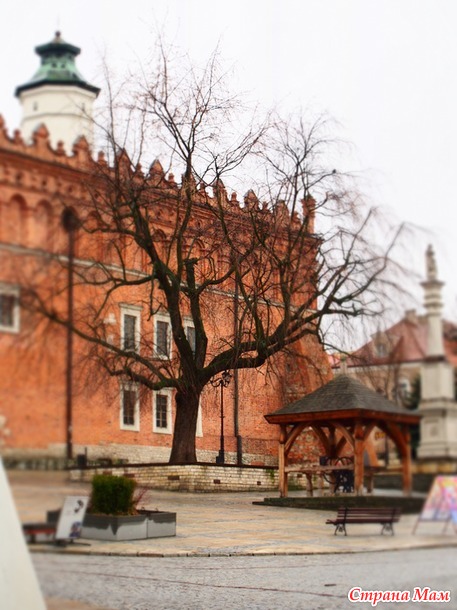 Поездка в Сандомеж (Sandomierz), Польша