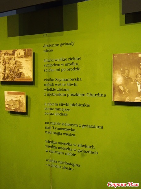 Поездка в Сандомеж (Sandomierz), Польша