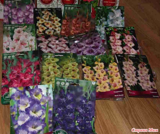 Хвастик по закупке у Нюськи76. Цветочки.