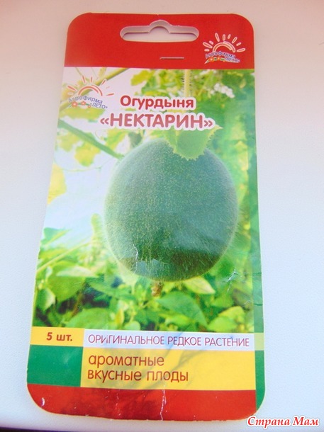 Огурдыня