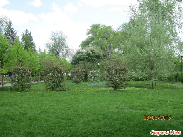 Воскресная прогулка в парке Горького