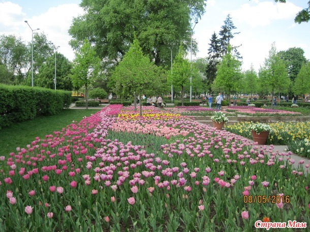 Воскресная прогулка в парке Горького