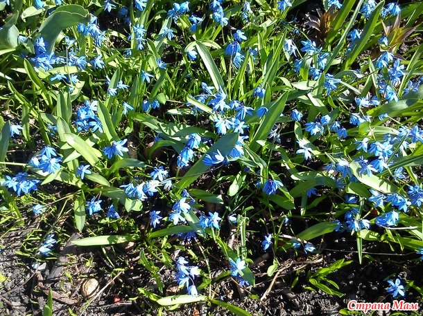 Самая красивая пора года (на мой взгляд)