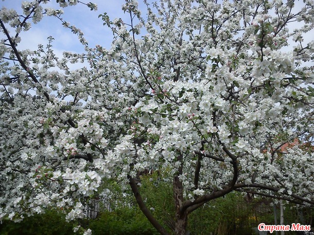 Самая красивая пора года (на мой взгляд)