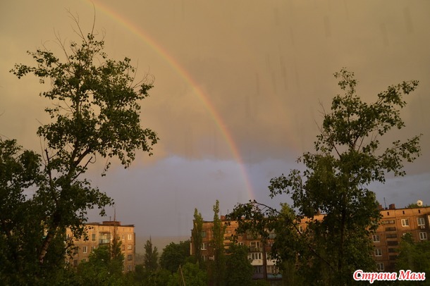 ������  "�����"