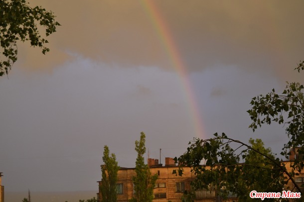 ������  "�����"