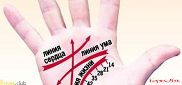 Гадание по руке без цыганок — краткий мануал