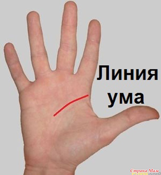 Гадание по руке без цыганок — краткий мануал