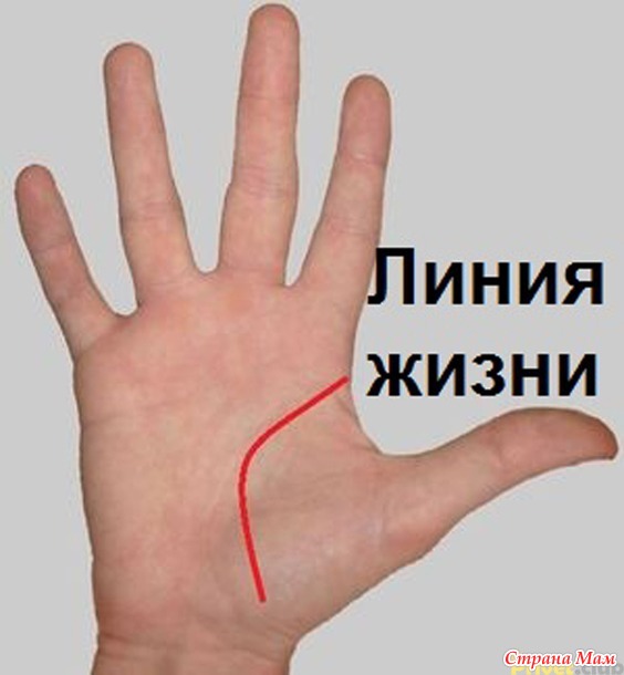 Гадание по руке без цыганок — краткий мануал