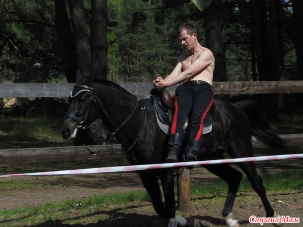 Успехи нашего хромого коня