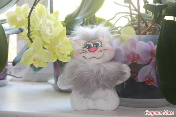 . И снова котейки