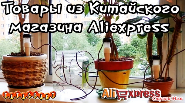          Aliexpress+