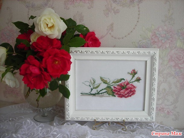 Любимые розы