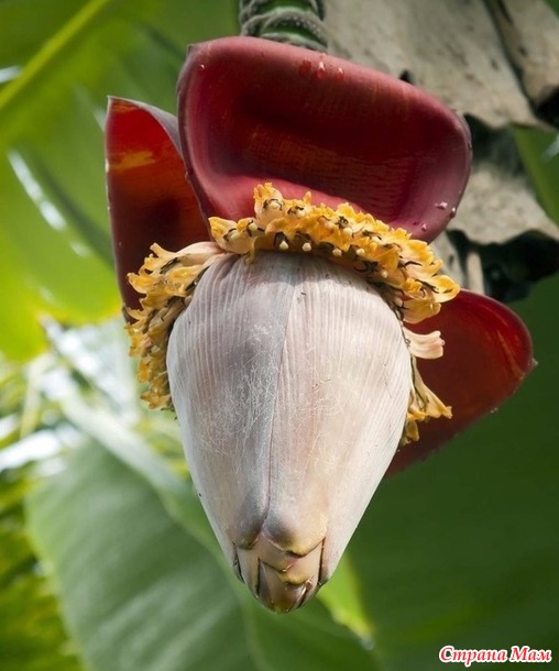 � �� ������ ������ ������?