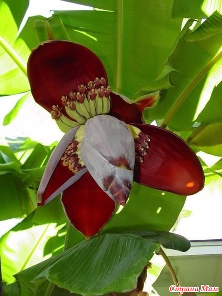 � �� ������ ������ ������?