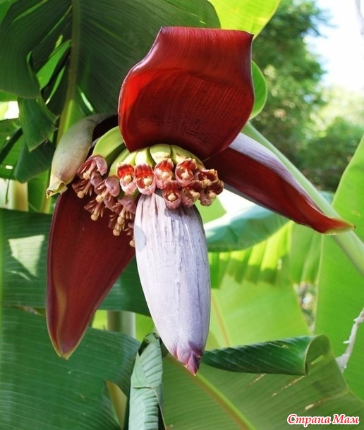 � �� ������ ������ ������?