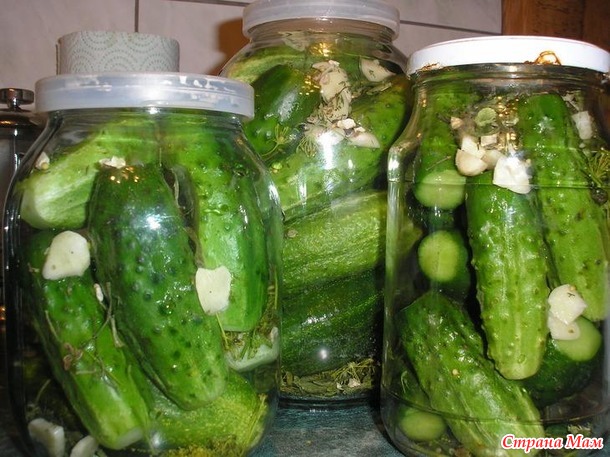 Незабываемые на вкус огурчики в "пражской" заливке