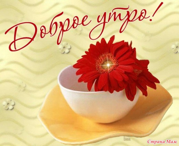 Предновогодний марафон 2017. День 4. 4 ноября 2016 года