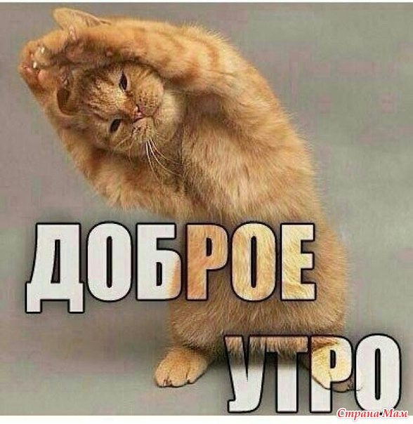 Предновогодний марафон 2017. День 7. 7 ноября 2016 года