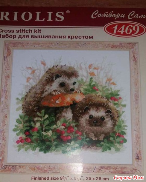 О пользе брусники и ежей!)