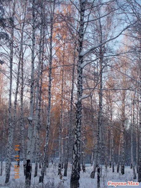 Морозный ноябрь.