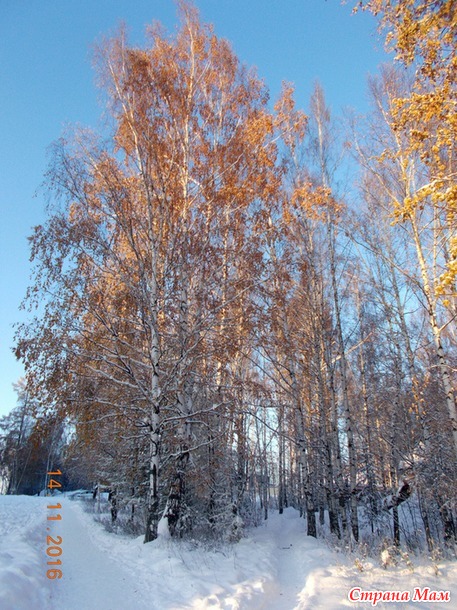 Морозный ноябрь.